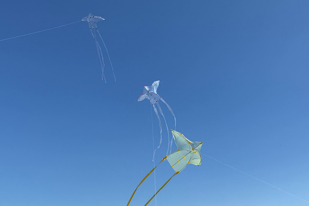 Three kites fly against a clear blue sky.